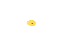 Fried Egg Sticker
