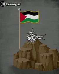 Palestine GIF