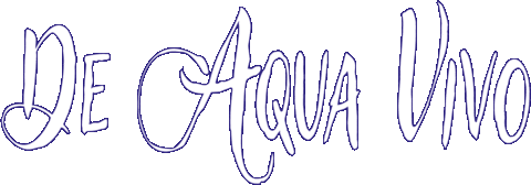 Sea Ocean Sticker by De Aqua Vivo
