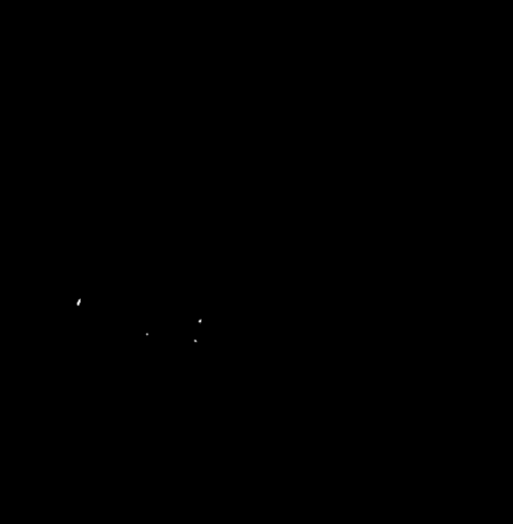 Svetlanakohlmeierfotografie giphygifmaker new new post post GIF