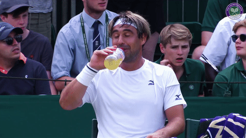 clap laughing GIF by Wimbledon