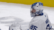 Ice Hockey Sport GIF by NHL