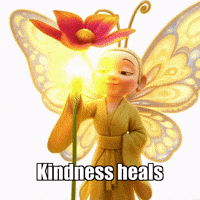 Flower Butterfly GIF by BuddhaFlyJourney