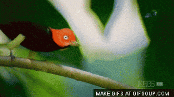 sensual GIF