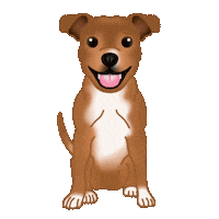 Happy Dog Tail Wag Sticker by zoopeez