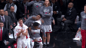 Miami Heat Reaction GIF by NBA
