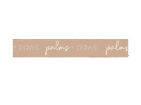 P P Washi Tape Sticker