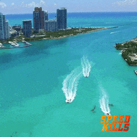 john travolta miami GIF by Signature Entertainment