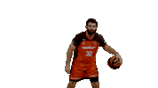 Liga Endesa Basketball Sticker by ACB