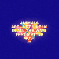 Animal Rights GIF by PETA