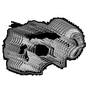 Ludibrie caveira Sticker