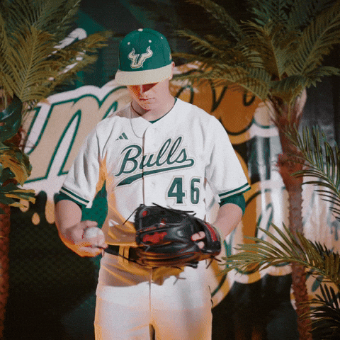 South Florida Baseball GIF by USF Athletics