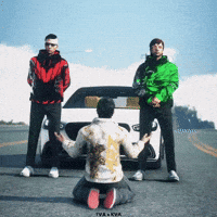 Tva Mrz GIF