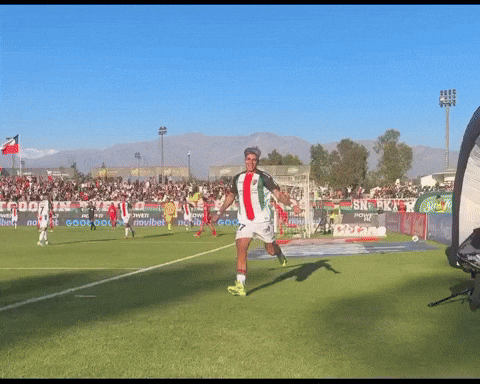 Cdpalestino GIF by Club Deportivo Palestino