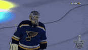 ice hockey sport GIF by NHL