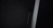 Goat Numberi GIF