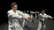 conan obrien taekwondo GIF by Team Coco