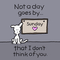 I Love You Ily GIF by Chippy the Dog