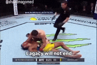 Conor Mcgregor Ufc Knockout GIF