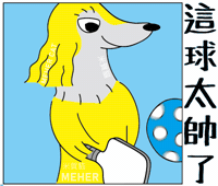 Golden Retriever Dachshund GIF