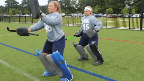vwu_marlins giphyupload marlins vwu wethebeach GIF