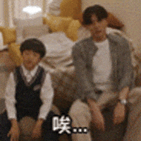 Tiger Mirror GIF by ViuTV