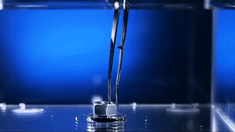 tulsimo giphygifmaker GIF