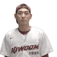 Kbo Sticker by Kiwoom Heroes Baseball Club