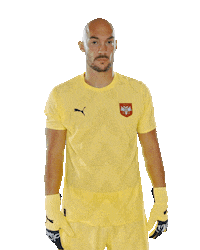 Srbija Sticker by sportmts