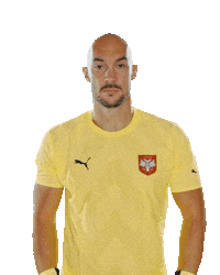 Srcemsvim Sticker by sportmts