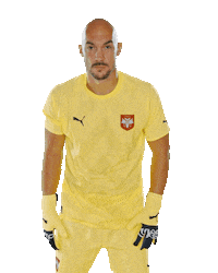 Srbija Sticker by sportmts