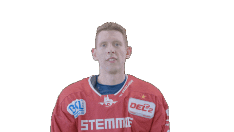 Hockey Family Sticker by Eisbären Regensburg