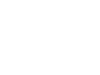 Celebrate New Year Sticker