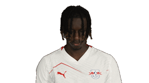 Rb Leipzig Football Sticker by Bundesliga