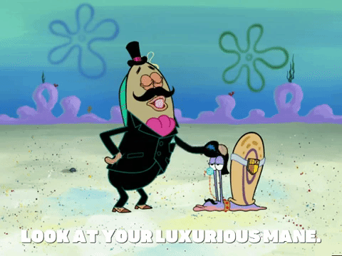 season 6 episode 10 GIF by SpongeBob SquarePants