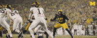 Michigan Football Touchdown GIF by Michigan Athletics