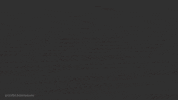 South Carolina Usc GIF by University of South Carolina Admissions