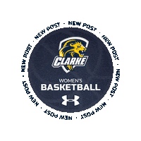 Basketball New Post Sticker by Clarke University