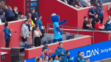 Womens Soccer Clap GIF by National Women's Soccer League