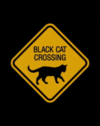 Black Cat GIF