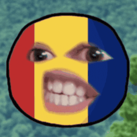 mondlylanguages giphyupload romanian romanian flag learn romanian GIF