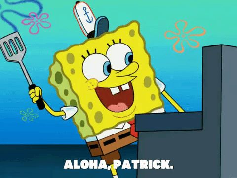 season 6 GIF by SpongeBob SquarePants