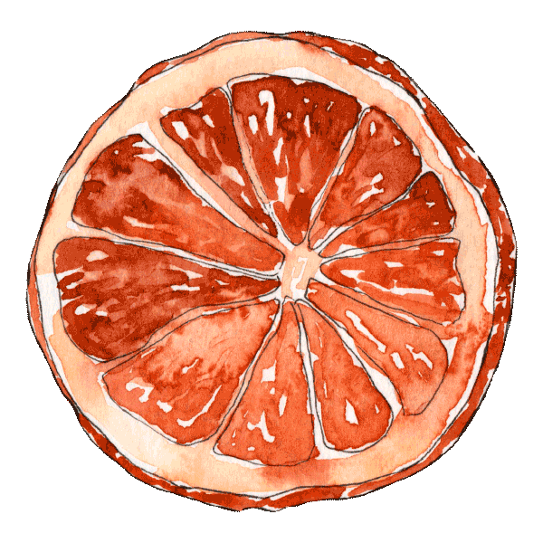 goodobjects giphyupload christmas orange fruit Sticker