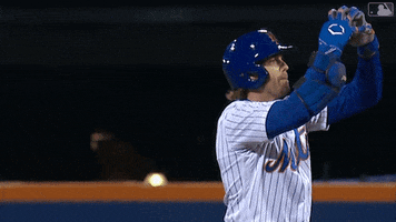 Excited Ny Mets GIF by New York Mets