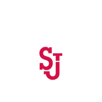 Ncaa Sports Sport Sticker by St. John's Red Storm