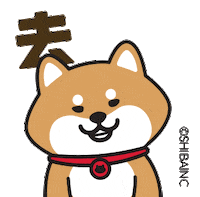 Doge Where Is It Sticker by SHIBAINC