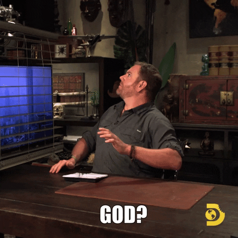 Whos That Voice Of God GIF by Shark Week