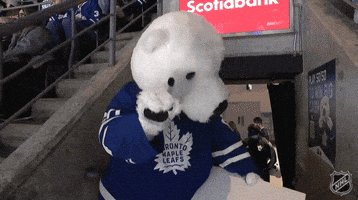 Happy National Hockey League GIF by NHL
