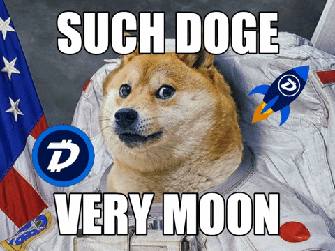 Invest Shiba Inu GIF by DigiByte Memes