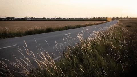 GIF by Wilson creative